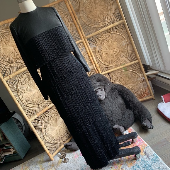 Dresses & Skirts - ▪️SOLD▪️Vintage 60s 8 tiers of fringe column maxi dress
